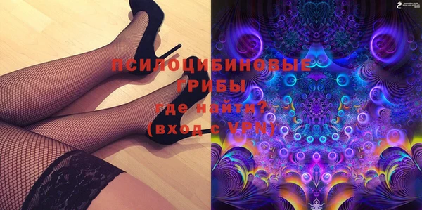 бошки Верея