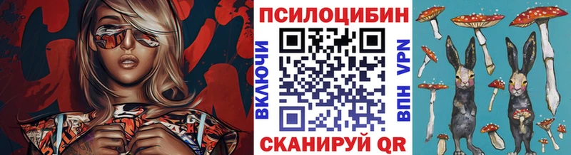 купить закладку  нарко площадка наркотические препараты  Псилоцибиновые грибы GOLDEN TEACHER  Вышний Волочёк 
