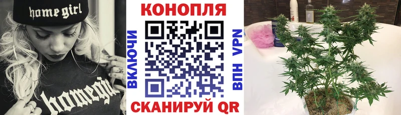 Шишки марихуана Bruce Banner  продажа наркотиков  гидра ссылки  Вышний Волочёк 
